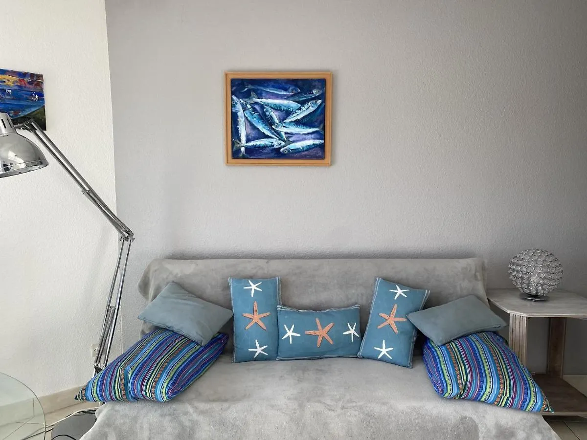 Etel - Appartement - 1 Pieces - 35 M2 - Vue Sur Le Port De Plaisance Proche Des Plages - Mer - Sentiers Cotiers - Dunes - Fr-1-397-51